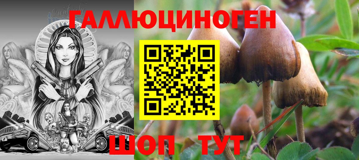 Ульяновск  Галлюциногенные грибы ЛСД  Псилоцибиновые грибы Magic Shrooms  Вход с VPN 